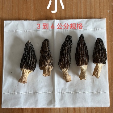 羊肚菌规格分3类：3-6cm/300元斤，6-9cm/4