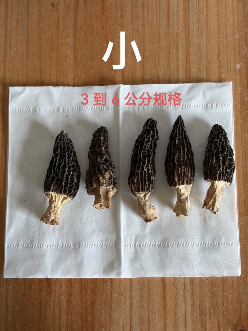 羊肚菌规格分3类：3-6cm/300元斤，6-9cm/4