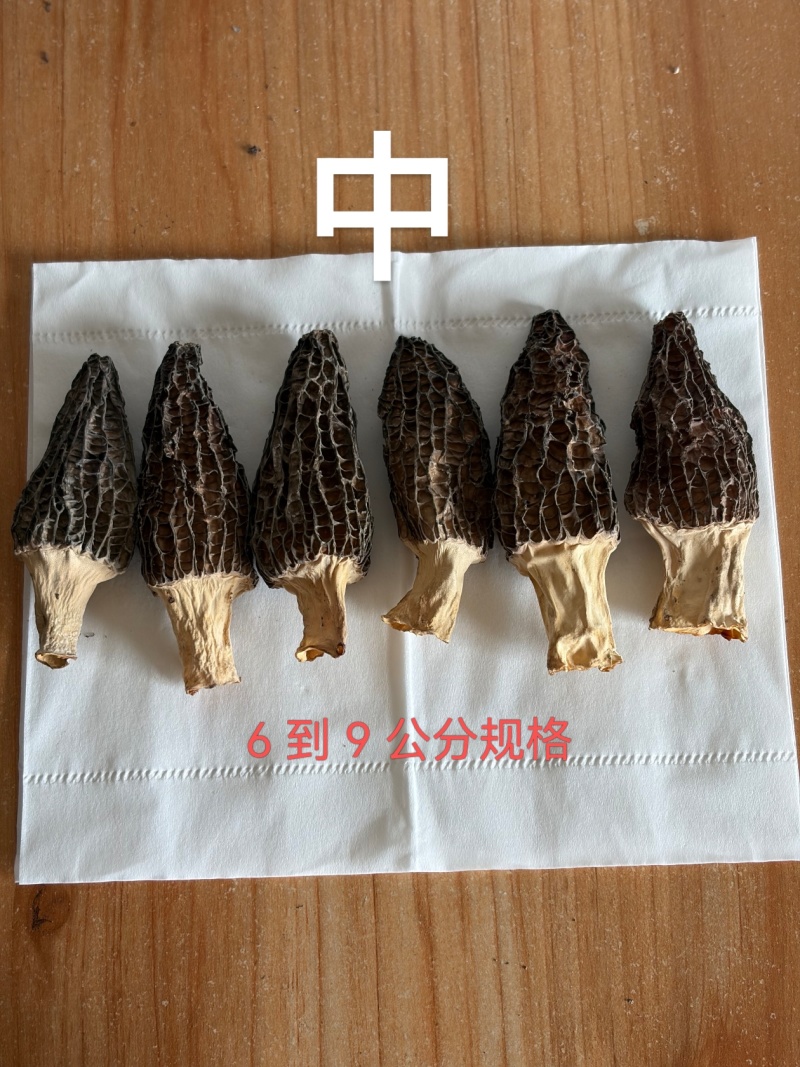 羊肚菌规格分3类：3-6cm/300元斤，6-9cm/4