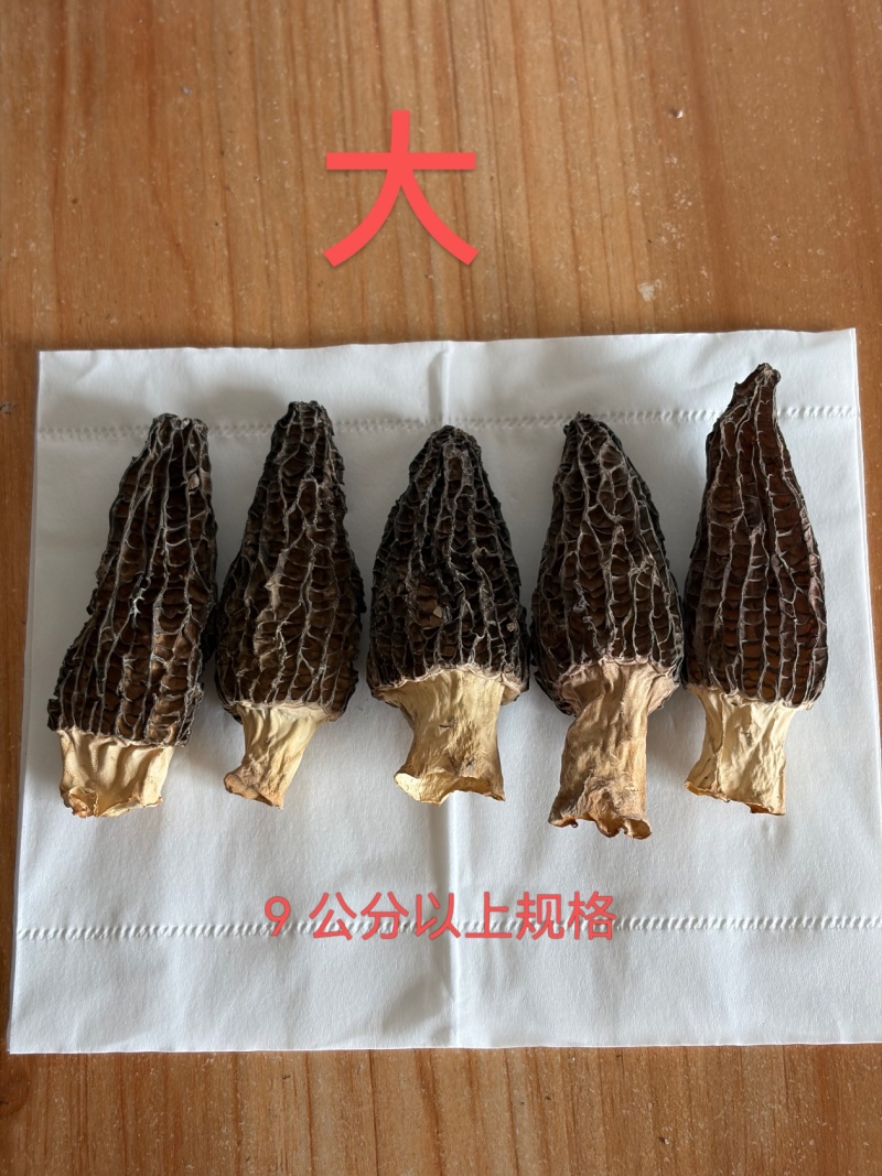 羊肚菌规格分3类：3-6cm/300元斤，6-9cm/4