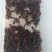 龙虾234钱/456钱/789钱