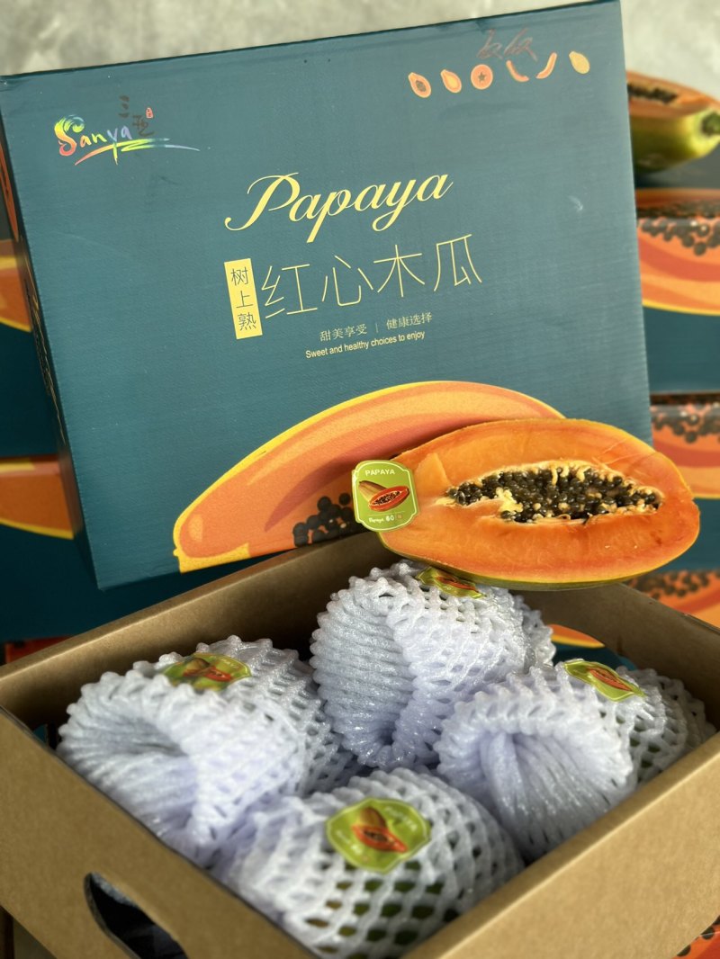 红心木瓜树上熟精品，8斤3-6头礼盒装，顺丰发货