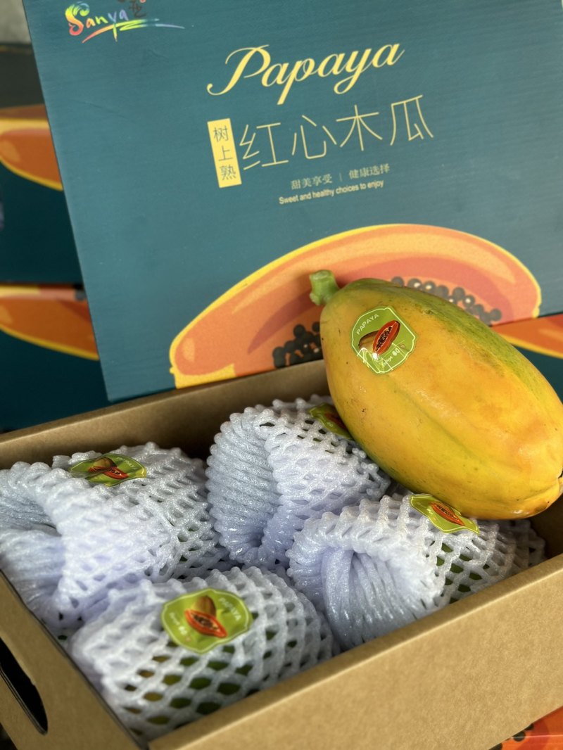 红心木瓜树上熟精品，8斤3-6头礼盒装，顺丰发货