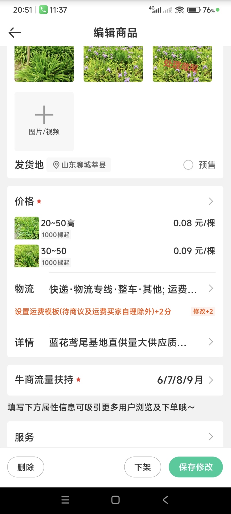 鸢尾苗20~50公分