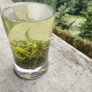 汉中绿茶半斤一袋