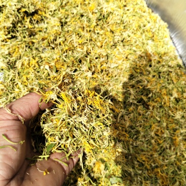 金银花选装