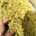 金银花选装