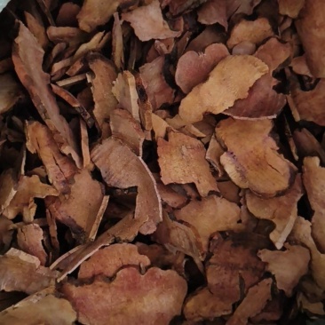 土茯苓过8号筛统货干片