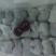 车厘子28-30mm,4斤/箱,外省220元/箱,省内1