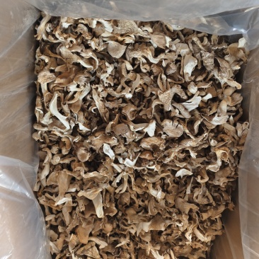平菇纸箱包装，每包32斤