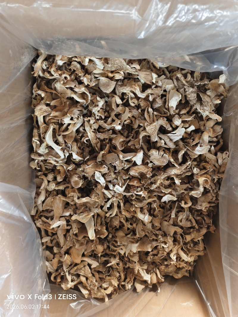 平菇纸箱包装，每包32斤