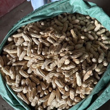 七彩花生云南花生精选货，3粒以上，无瘪子无霉变中大果