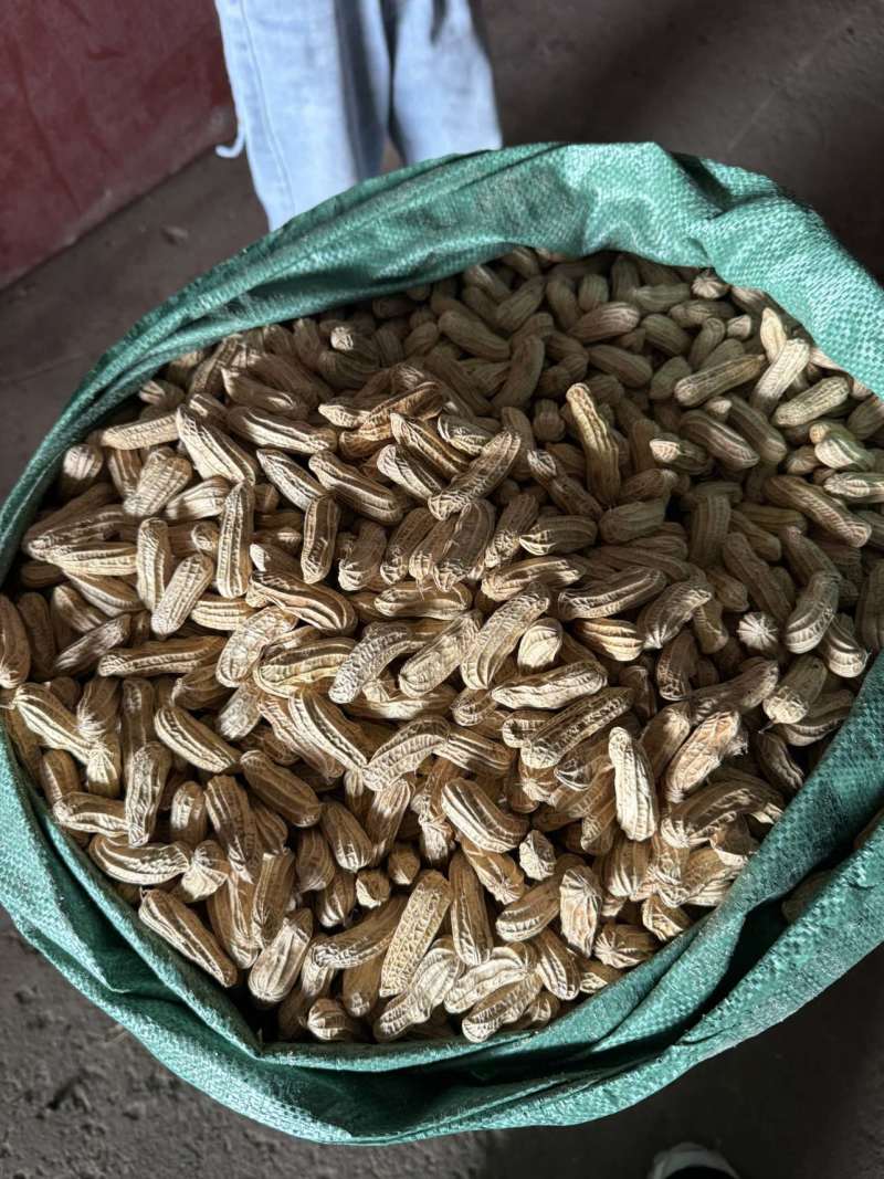 七彩花生云南花生精选货，3粒以上，无瘪子无霉变中大果