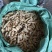 七彩花生云南花生精选货，3粒以上，无瘪子无霉变中大果
