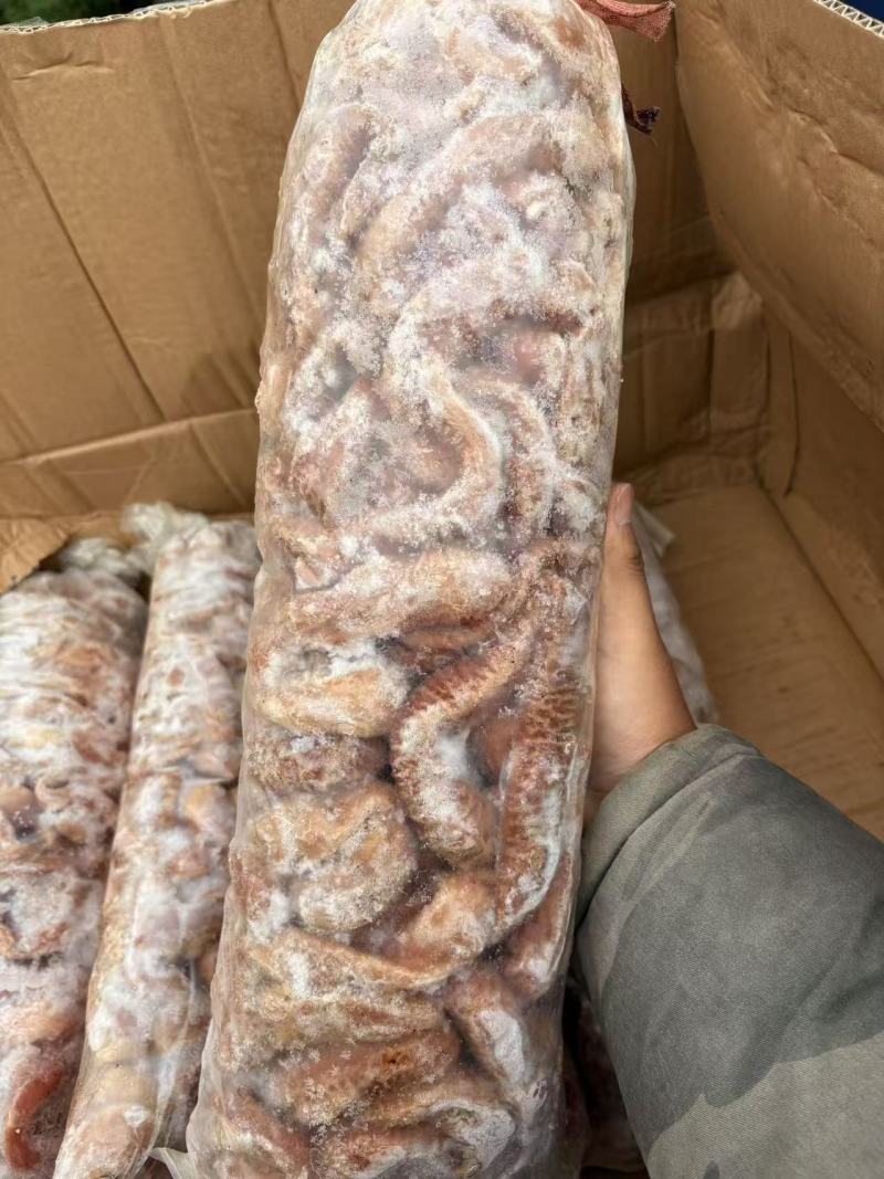 牛肠牛小肠带油一件40斤;牛大肠抛开去油