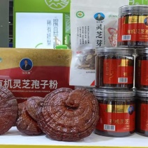 灵芝孢子粉125g/罐