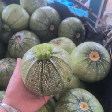 西葫芦长西葫芦30斤/箱，圆西葫芦20斤/箱