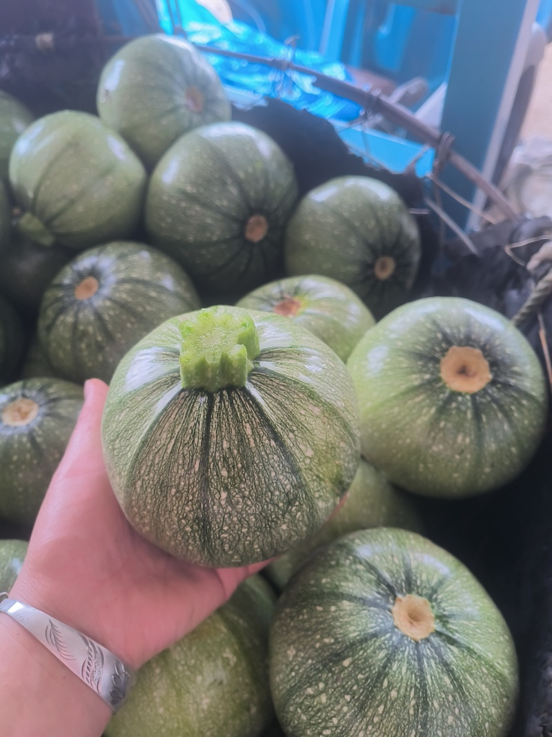 西葫芦长西葫芦30斤/箱，圆西葫芦20斤/箱