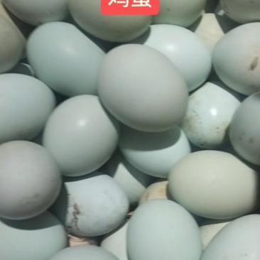 土鸡蛋50枚/箱，泡沫盒+纸箱包装
