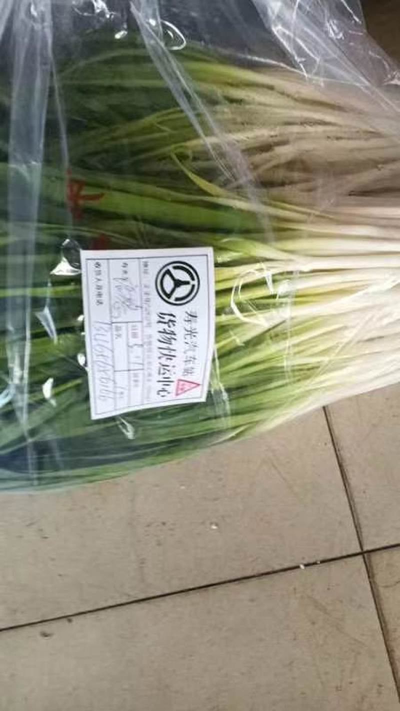 韭菜泡沫箱包装压冰瓶，每箱30斤净菜