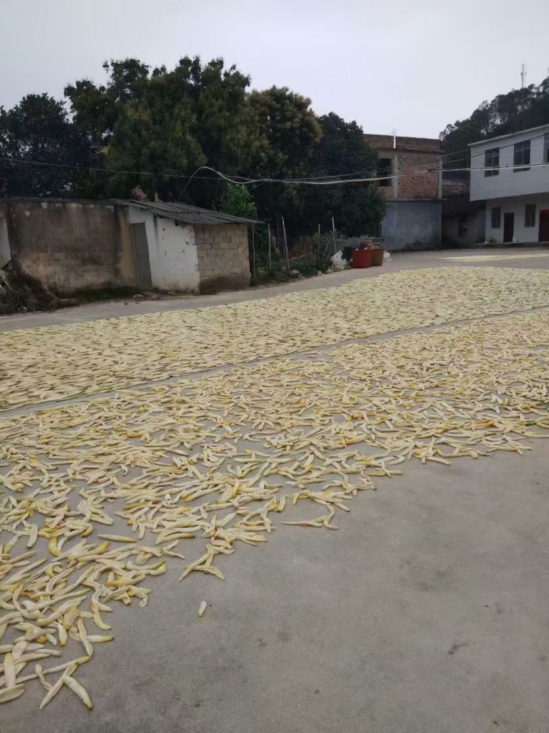 黄瓜干开边和整条