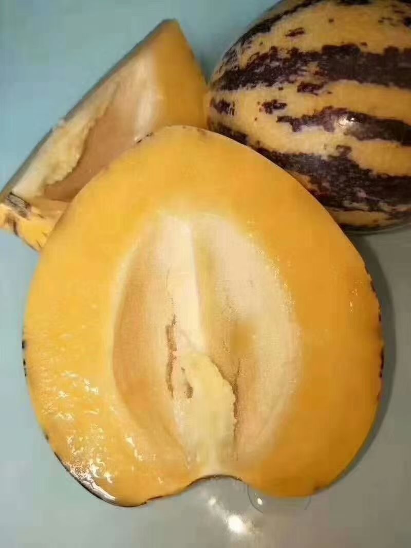 人参果大中小果