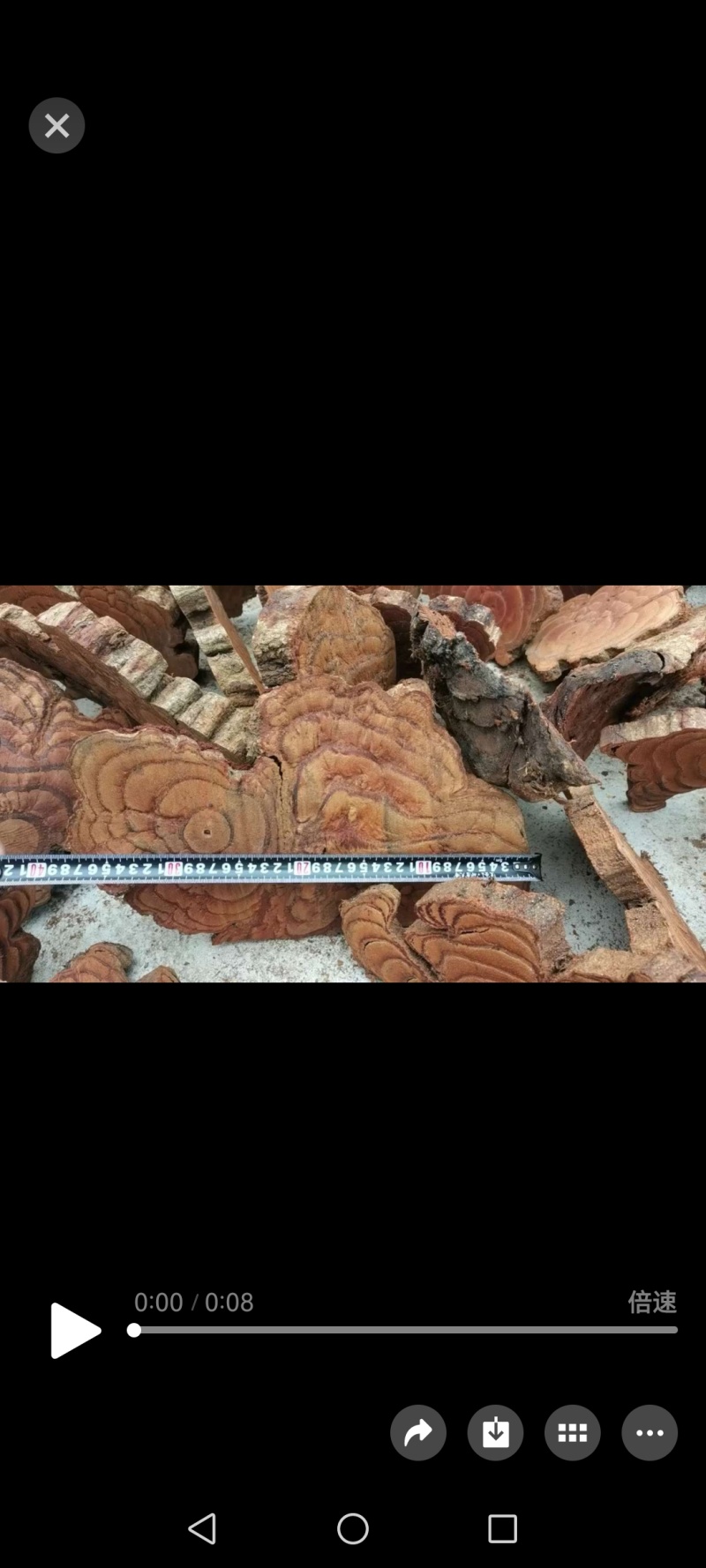 鸡血藤5-50公分，厚度1-2公分