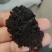 黑木耳干品