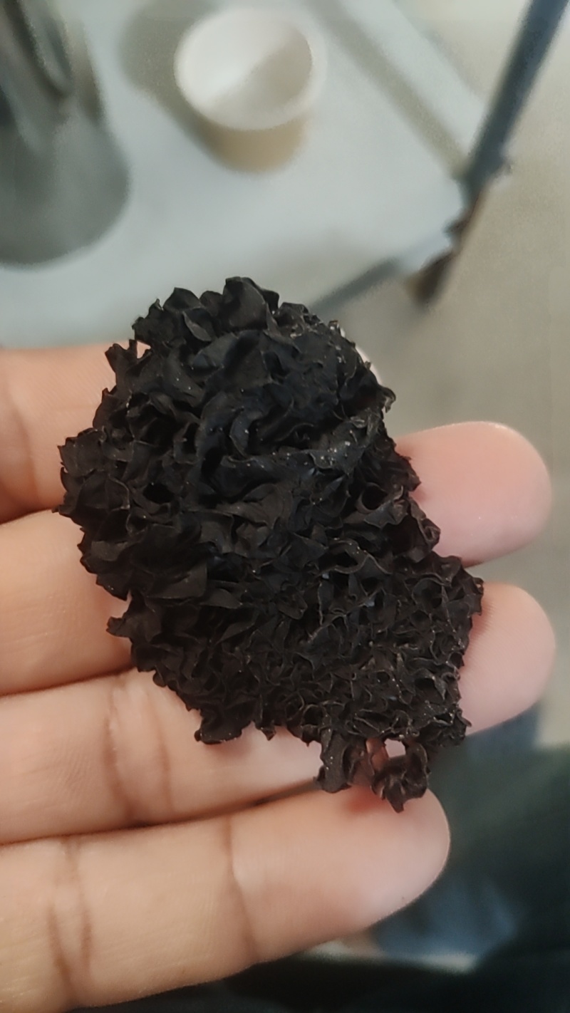 黑木耳干品