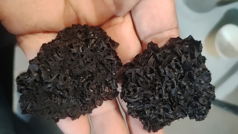 黑木耳干品