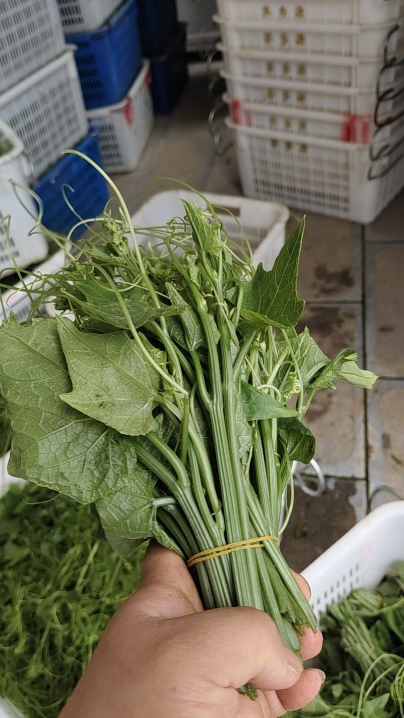 龙须菜，泡沫箱打包