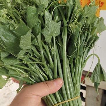 龙须菜泡沫箱打包