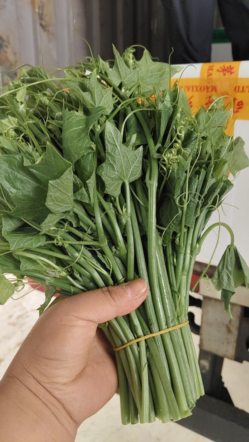 龙须菜泡沫箱打包