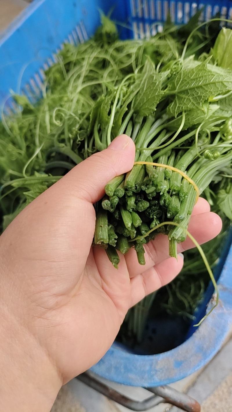 龙须菜泡沫箱打包