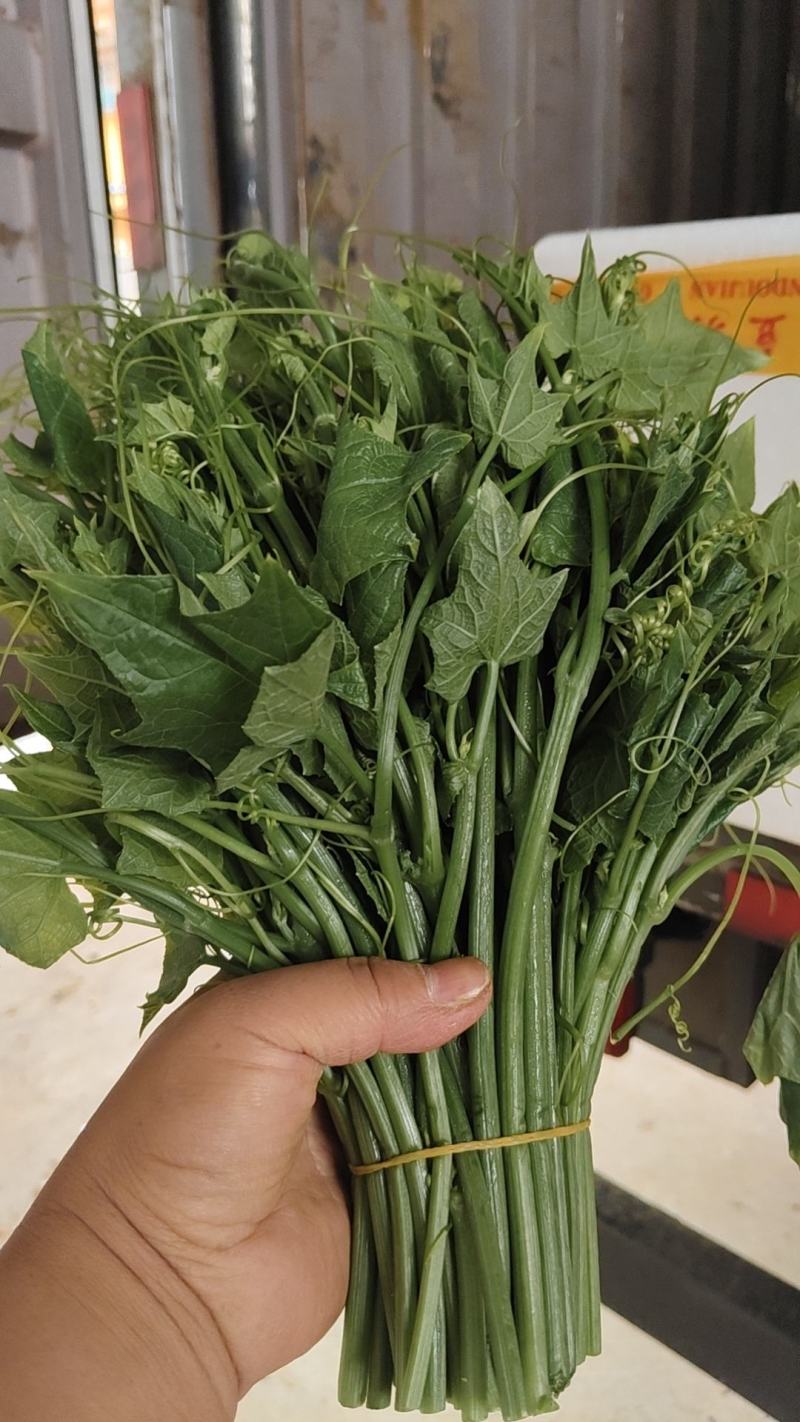 龙须菜泡沫箱打包