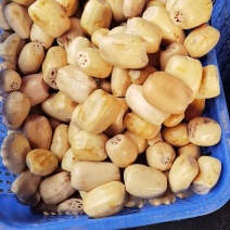 腌制莲藕袋装，4~6藕段