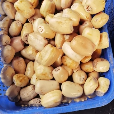 净菜食材袋装，4~6藕段