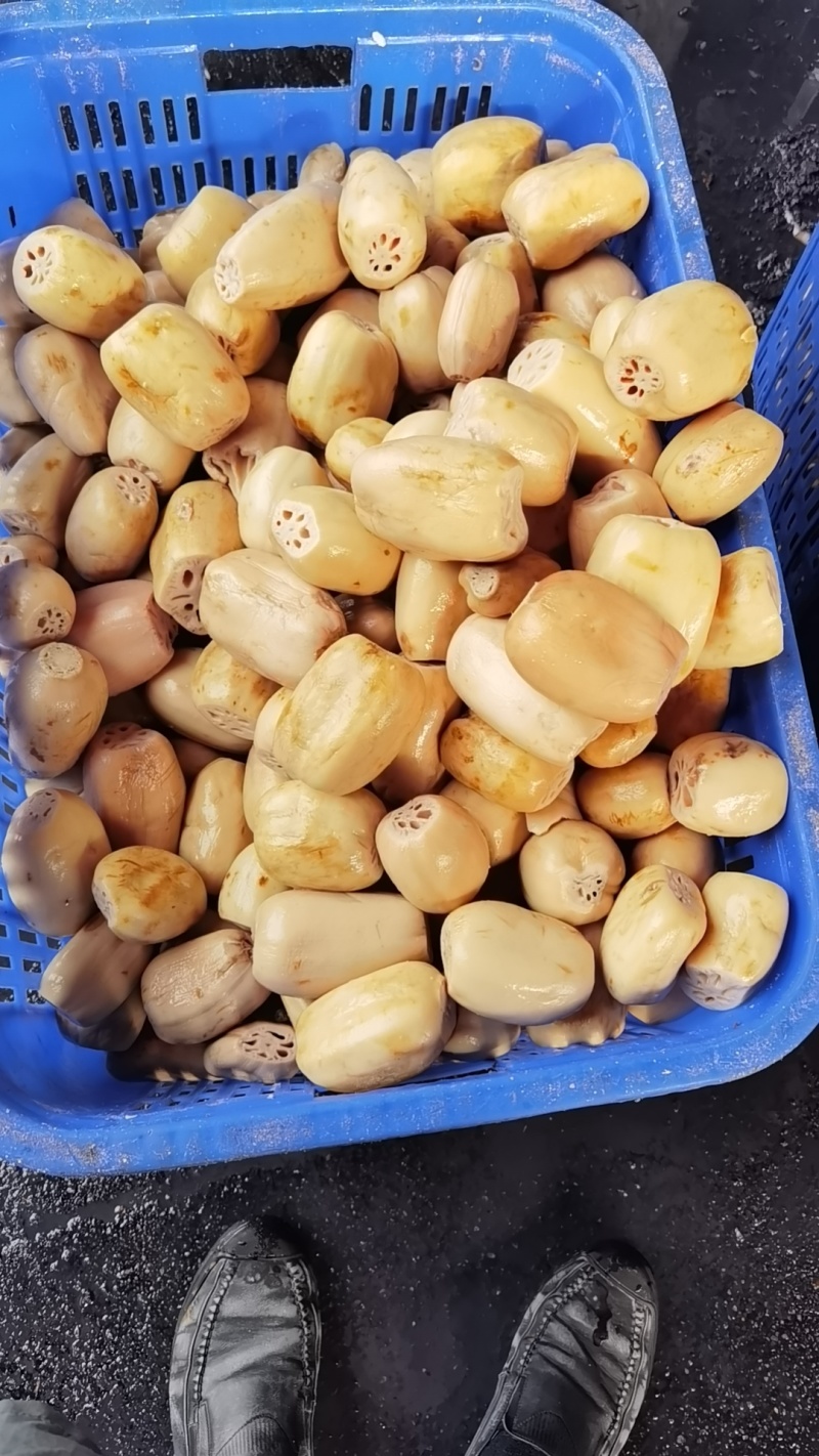 净菜食材袋装，4~6藕段