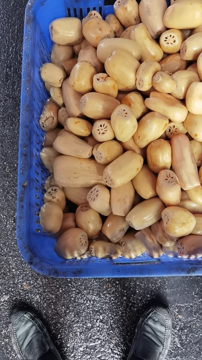 净菜食材袋装，4~6藕段