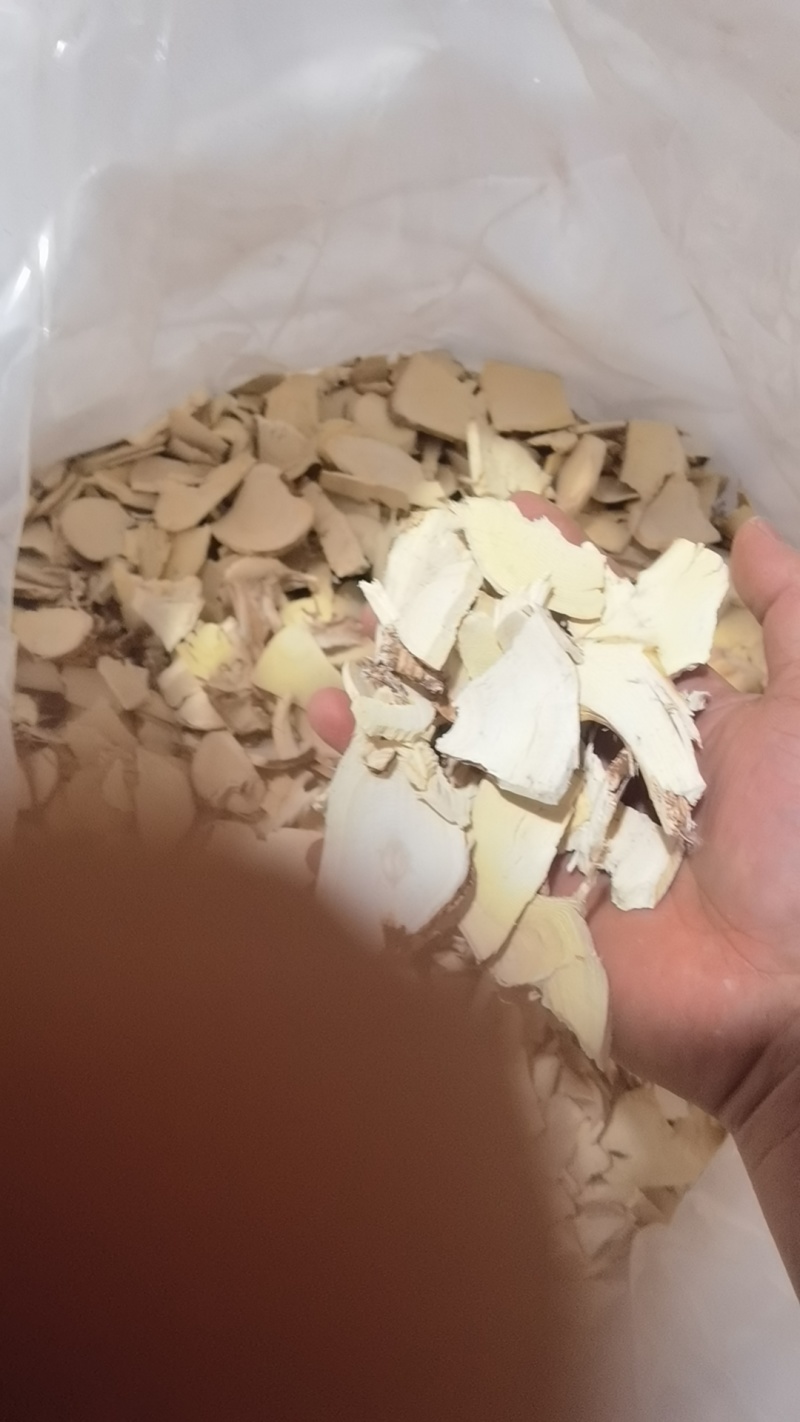 五指毛桃头片