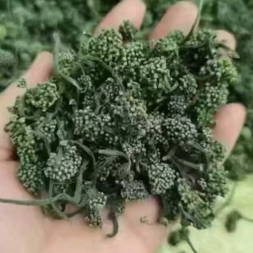 人参花五年参大花，干花