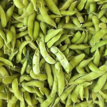 毛豆带壳