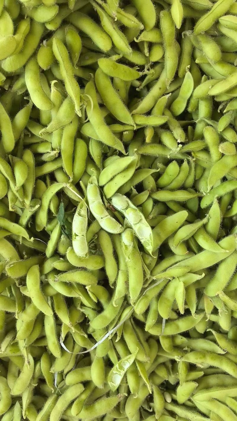 毛豆带壳