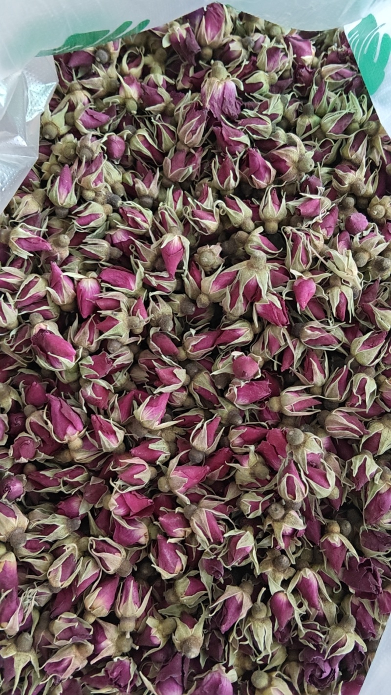 苦水玫瑰花蕾