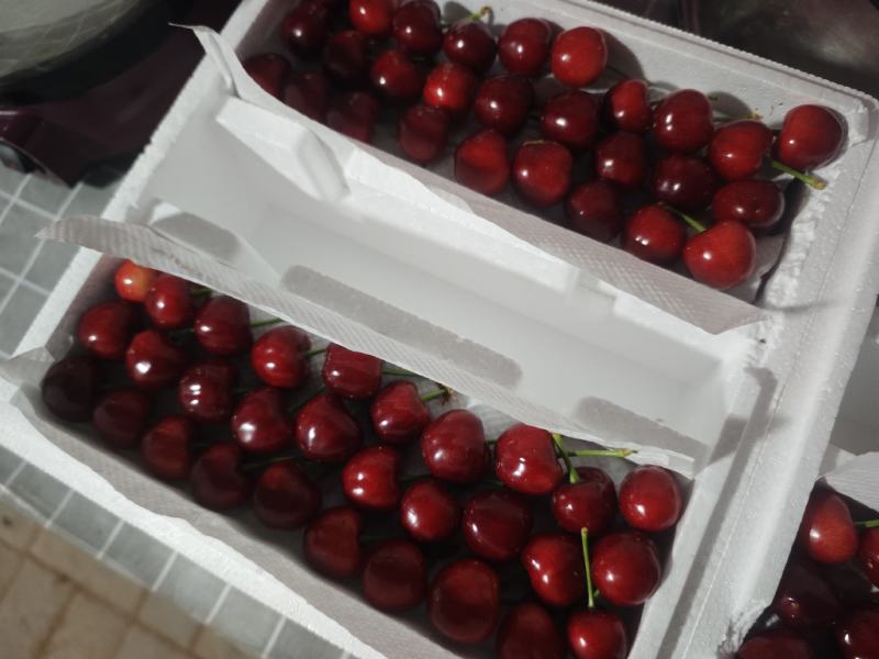 樱桃美早光果，30mm及以上大果