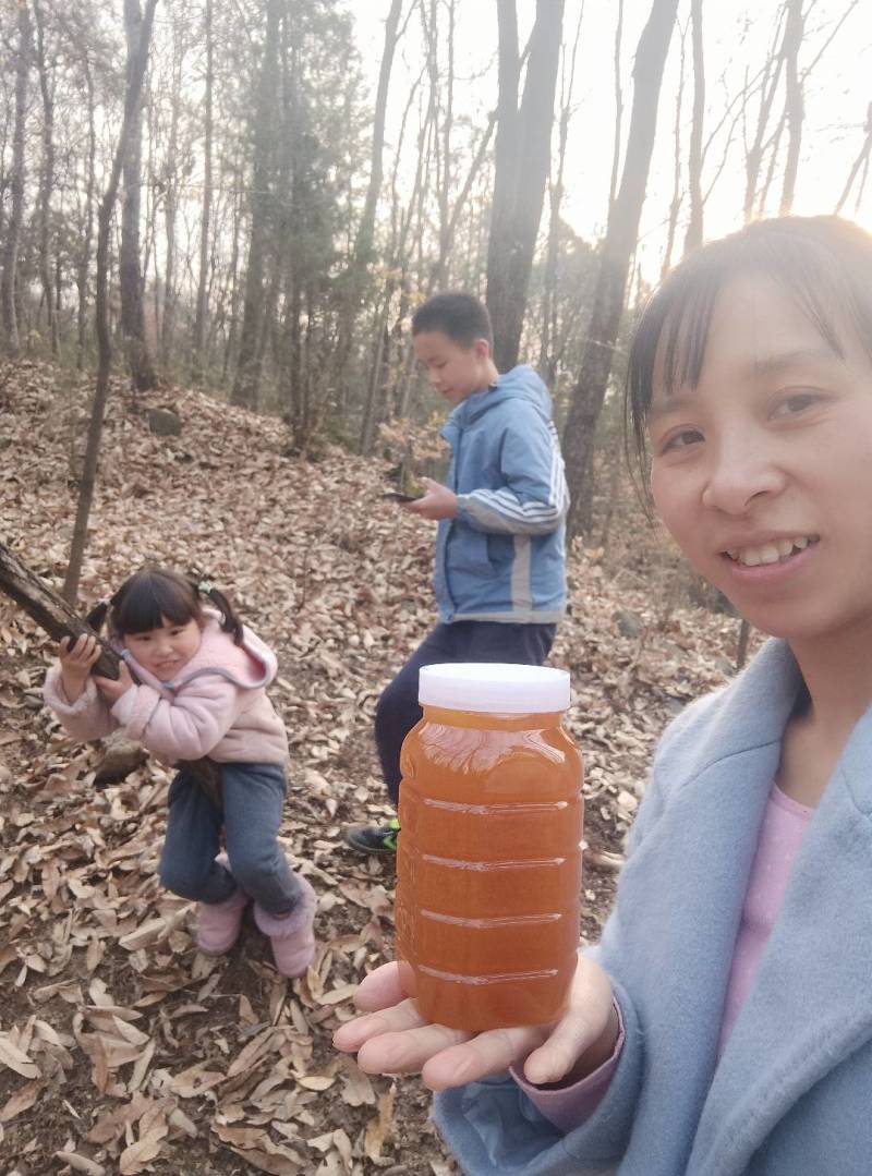 土蜂蜜桶装50斤/桶
