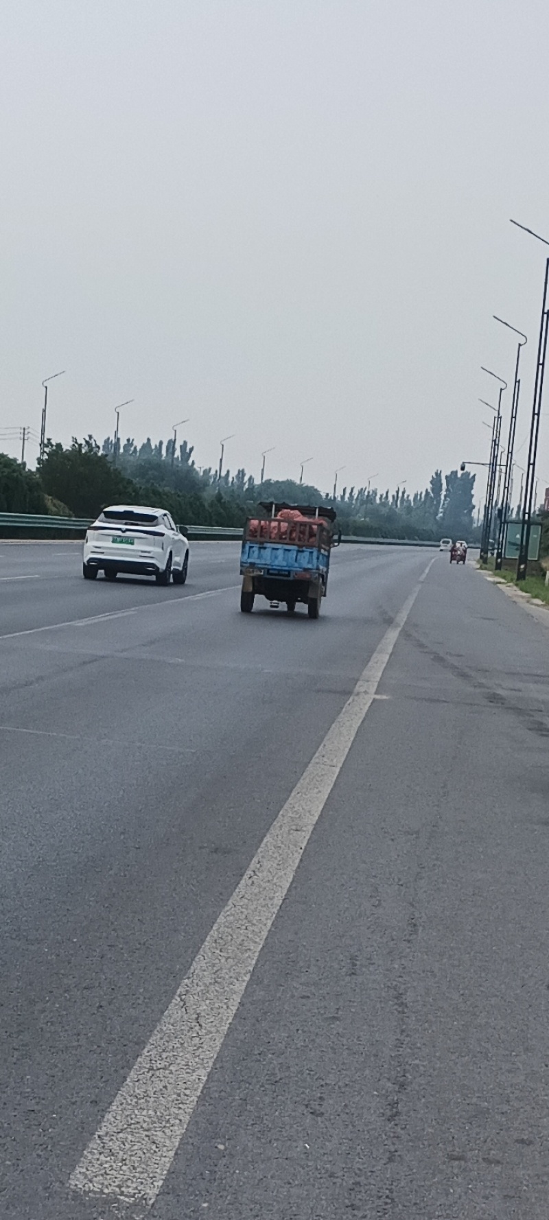 大蒜过完筛