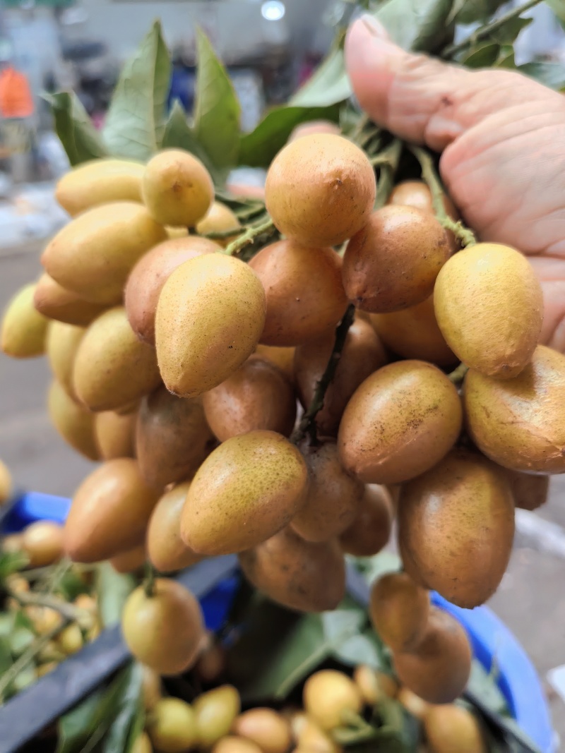 黄皮果牛心黄皮，果粒均匀，个头较大