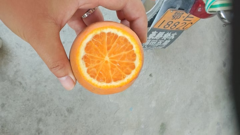 夏橙60起步