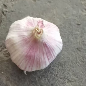 紫皮蒜统货，一斤5-8头